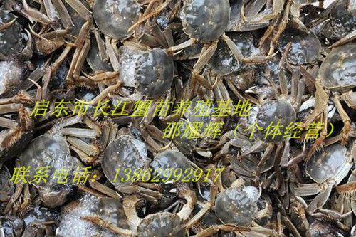 d9b3468a0df7ea16823f4db7c12a0376_副本_副本.jpg